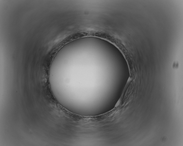 X0000091991253200709271440