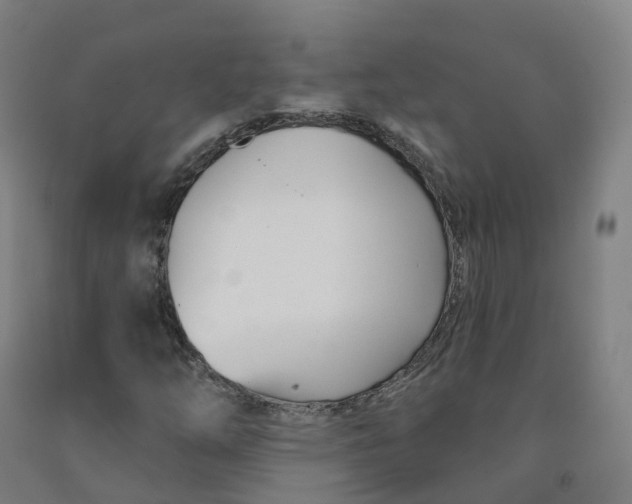 X0000091991254200709271440