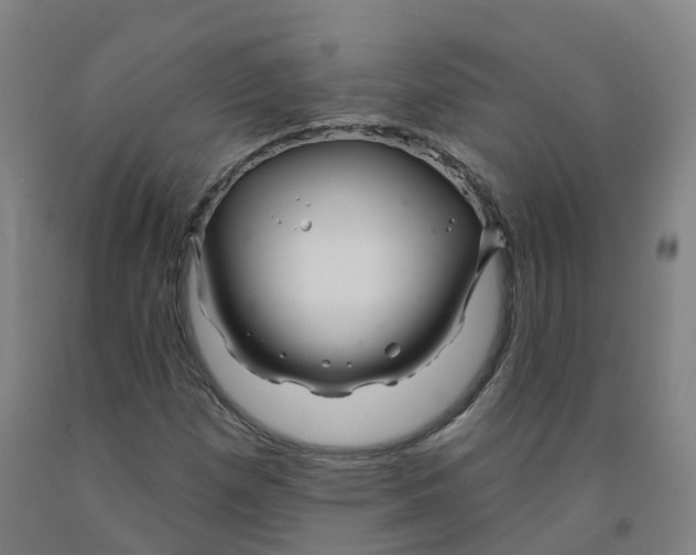 X0000091991257200709271440