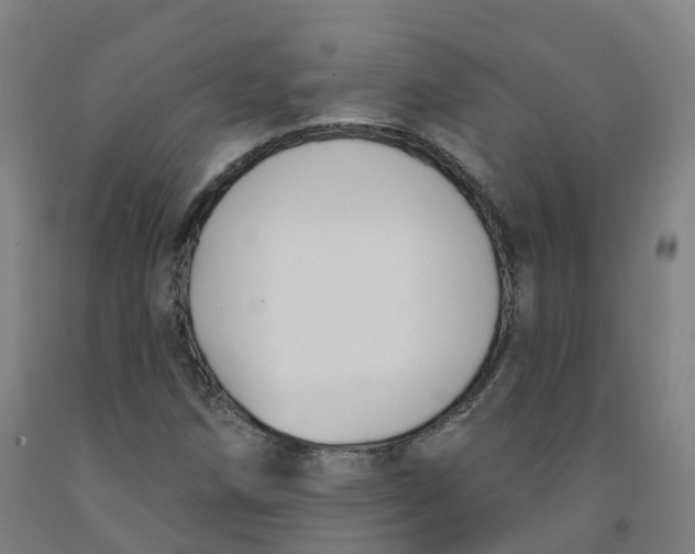 X0000091991258200709271440