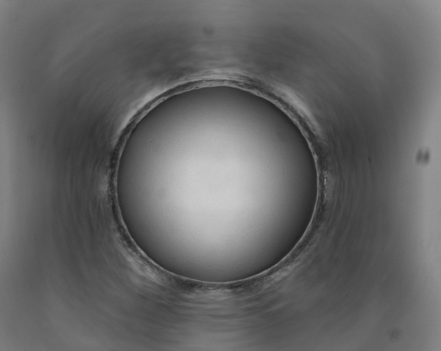 X0000091991260200709271440