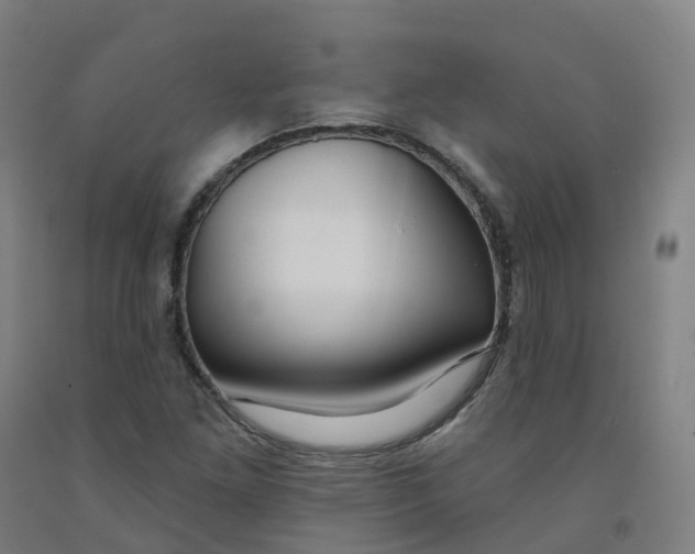 X0000091991261200709271440