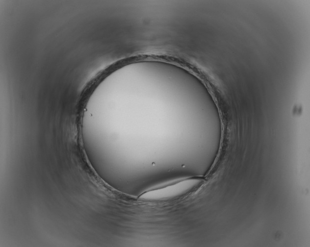 X0000091991262200709271440