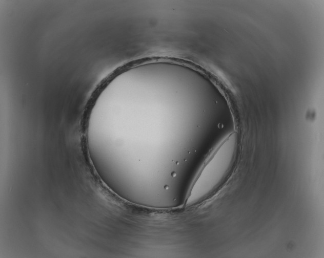 X0000091991264200709271440