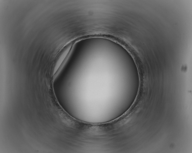 X0000091991265200709271440