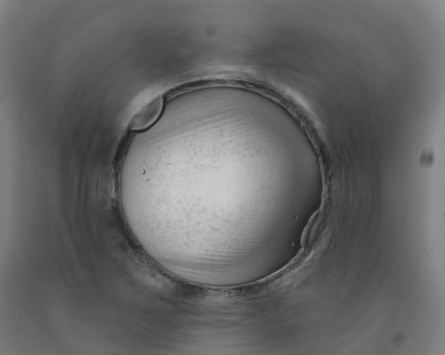 X0000091991267200709271440