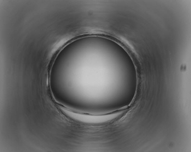 X0000091991269200709271440