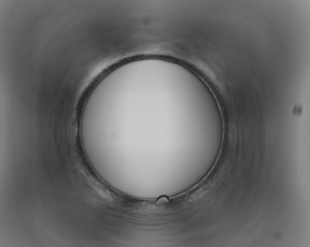 X0000091991270200709271440