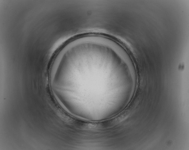 X0000091991271200709271440