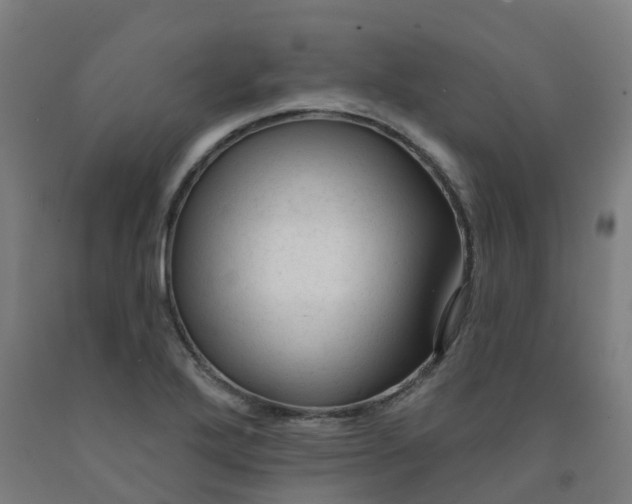 X0000091991272200709271440