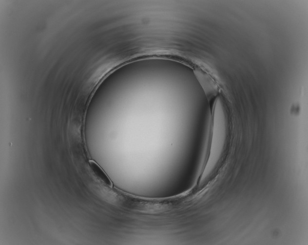 X0000091991273200709271440