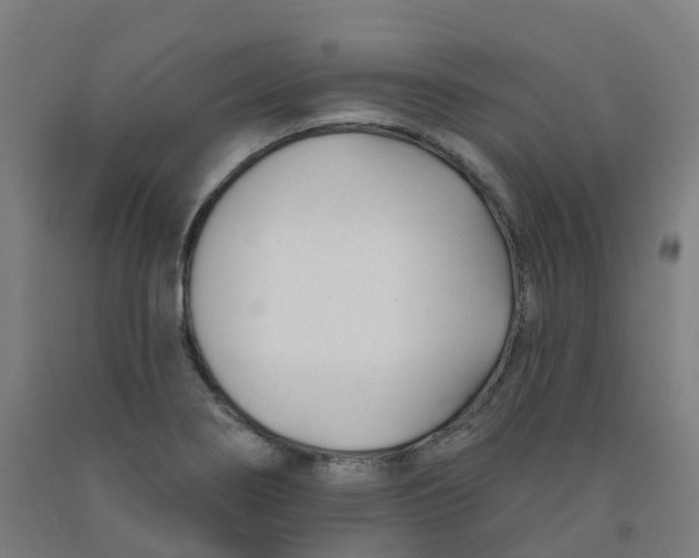 X0000091991274200709271440