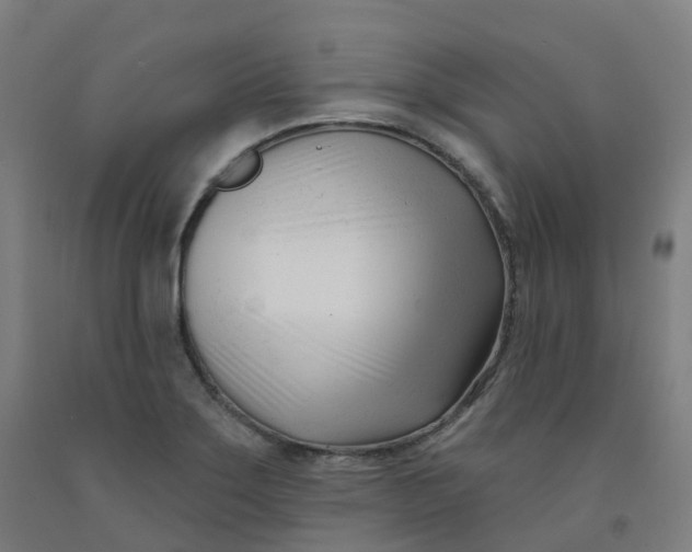 X0000091991275200709271440