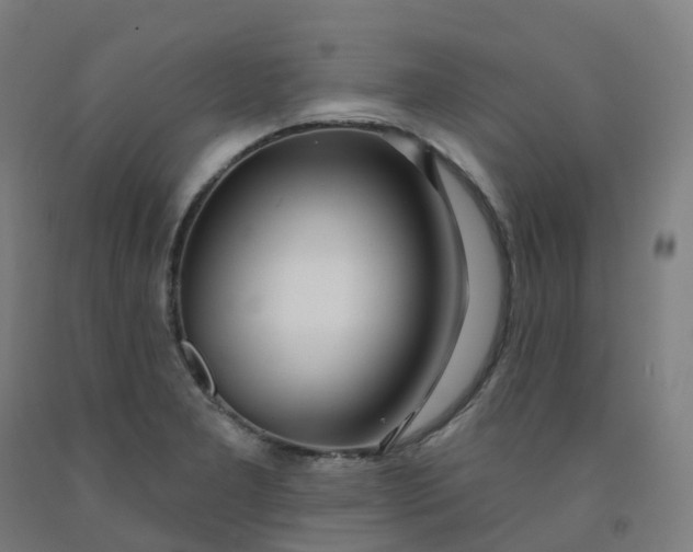 X0000091991277200709271440