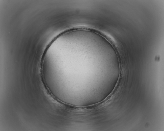 X0000091991279200709271440