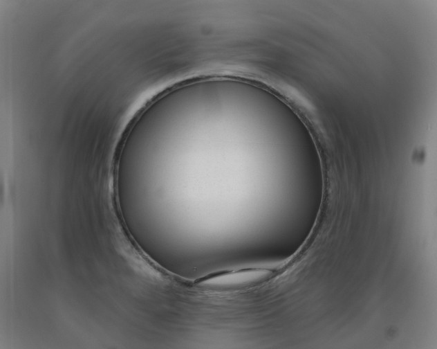 X0000091991280200709271440