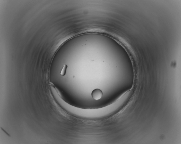 X0000091991281200709271440