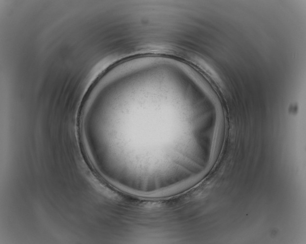 X0000091991283200709271440