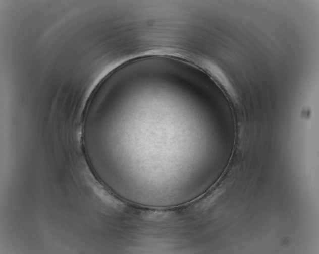 X0000091991284200709271440