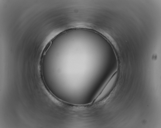 X0000091991285200709271440