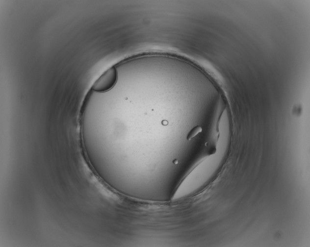 X0000091991287200709271440