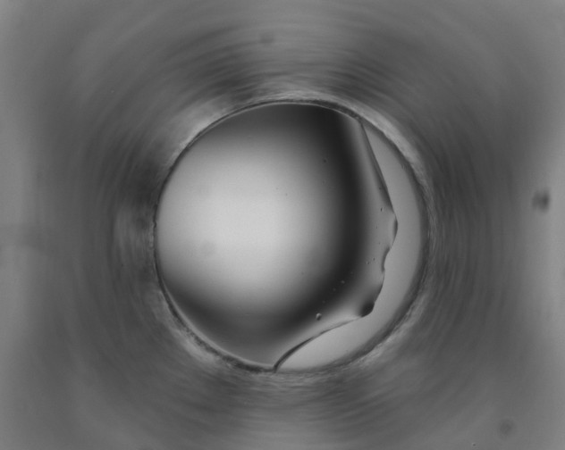 X0000091991289200709271440