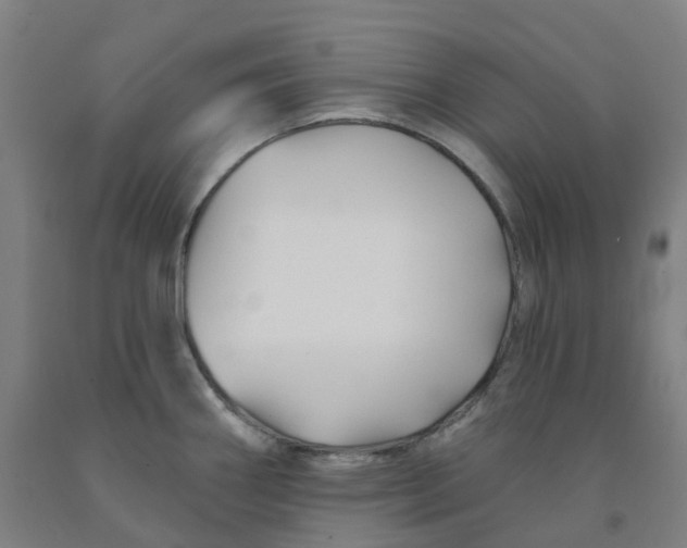 X0000091991290200709271440