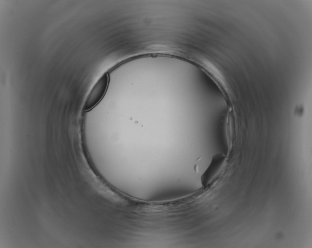 X0000091991291200709271440