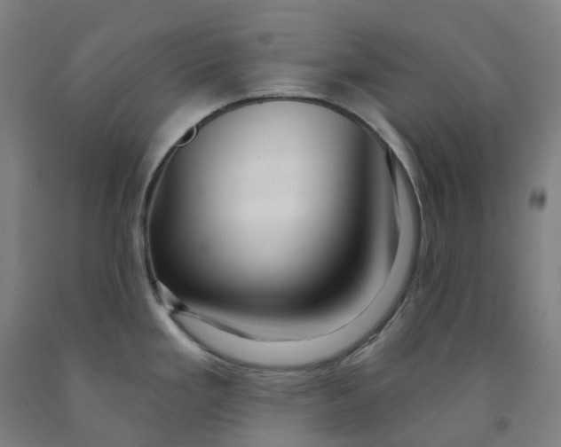 X0000091991293200709271440