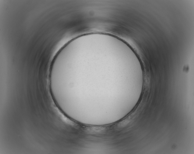 X0000091991294200709271440