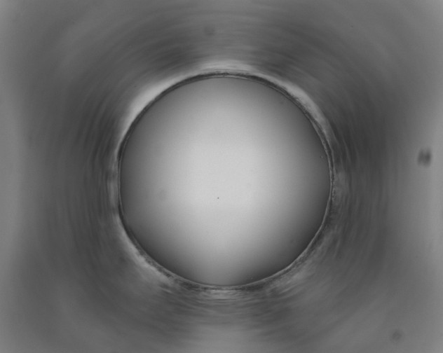 X0000091991295200709271440