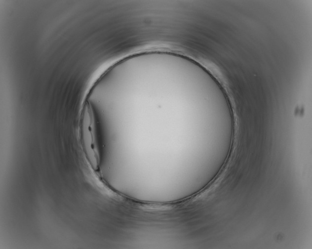 X0000091991296200709271440