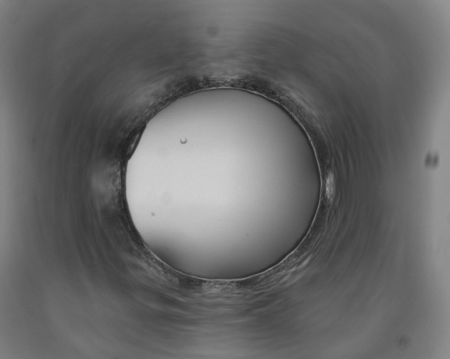 X0000091991299200709271439