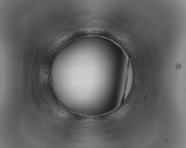 X0000091991300200709271439