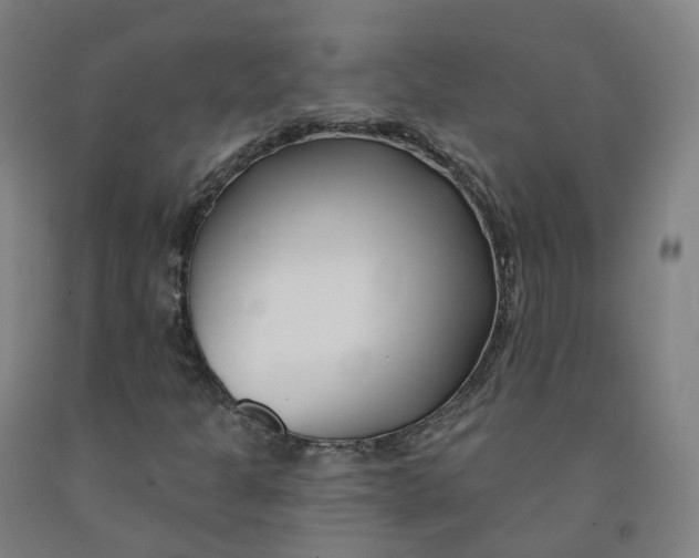 X0000091991301200709271439