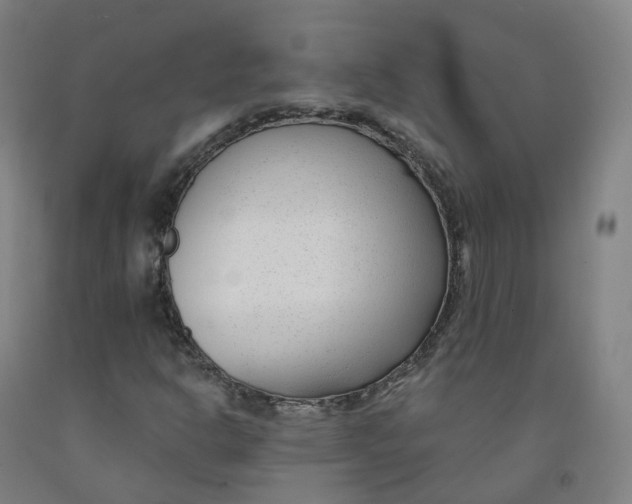 X0000091991302200709271439