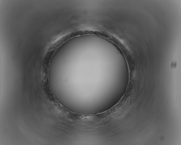 X0000091991303200709271439