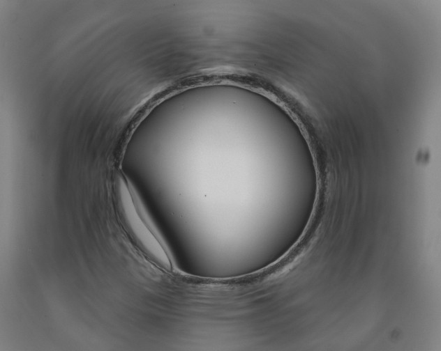 X0000091991305200709271439