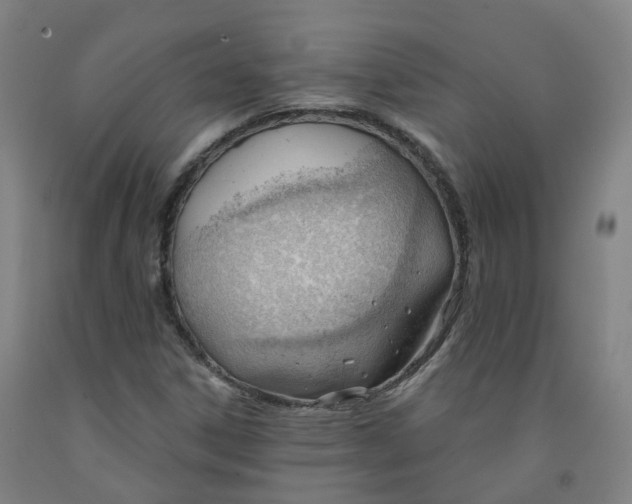 X0000091991306200709271439