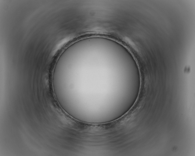 X0000091991307200709271439