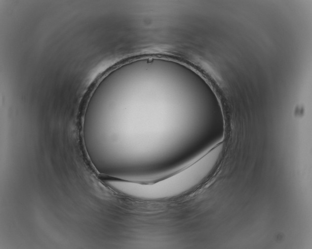 X0000091991308200709271439