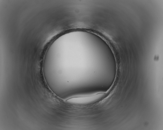 X0000091991309200709271439