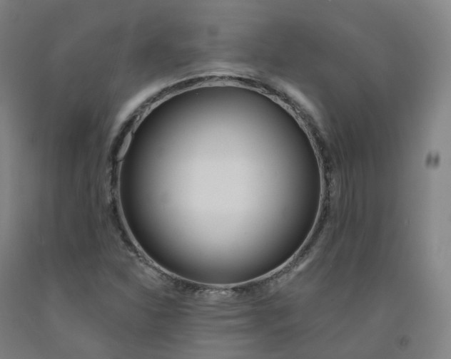 X0000091991310200709271439