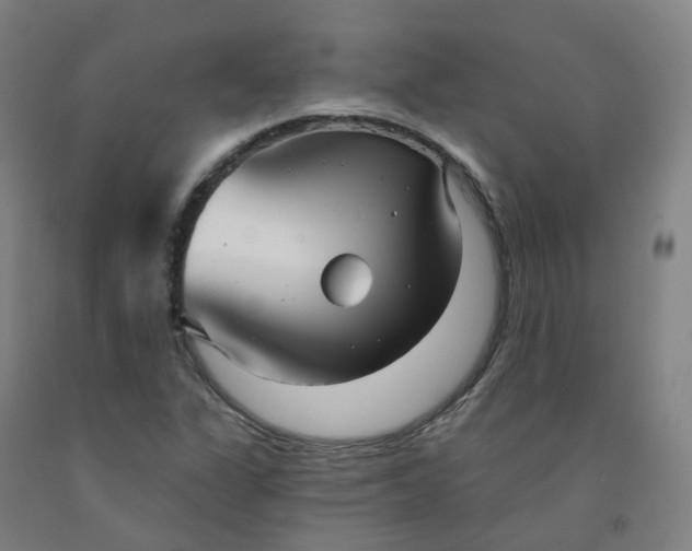 X0000091991311200709271439