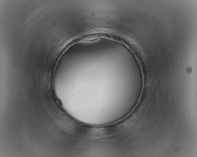 X0000091991313200709271439