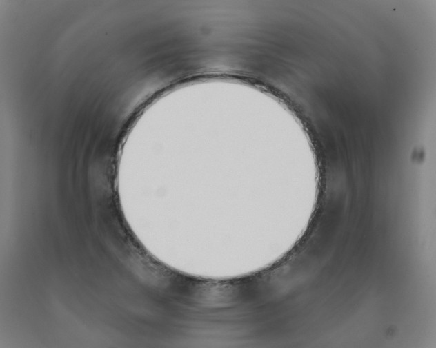 X0000091991314200709271439