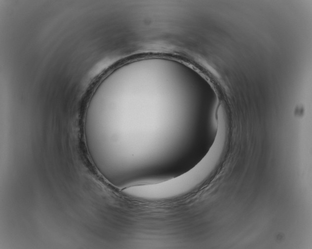 X0000091991315200709271439