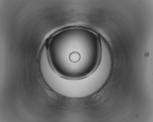 X0000091991316200709271439