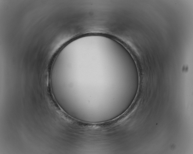 X0000091991317200709271439