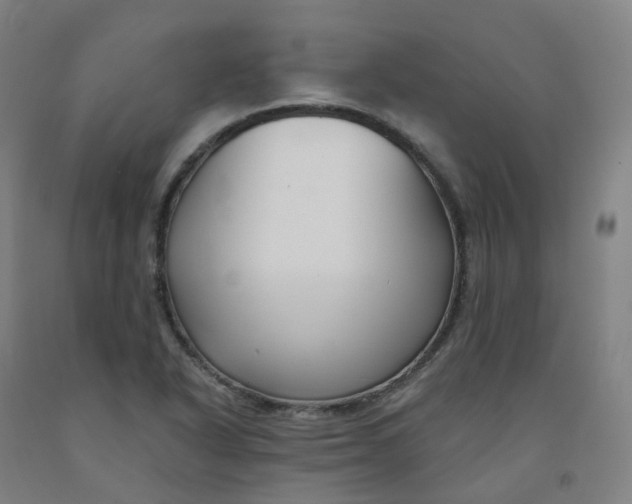 X0000091991318200709271439